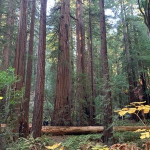 Meet your Posher, Nao